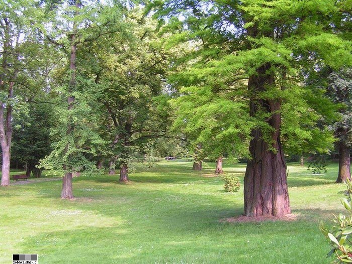 G�rny �l�sk, Dolny �l�sk na zdj�ciach, fotografiach, obrazach